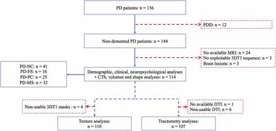 Posterior Cortical Cognitive Deficits Are Associated With Structural Brain Alterations in Mild Cognitive Impairment in Parkinson’s Disease